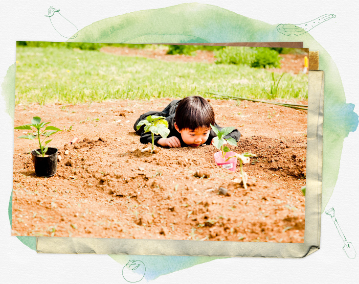 古民家付き農園「corot」